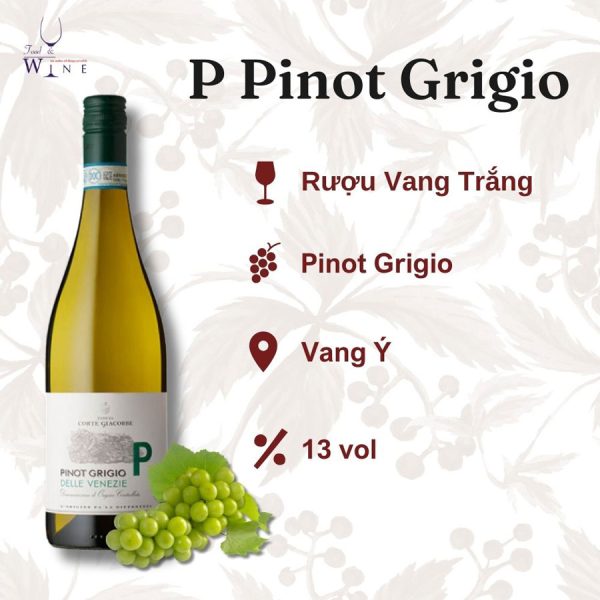 Rượu vang Tenuta Corte Giacobbe Pinot Grigio