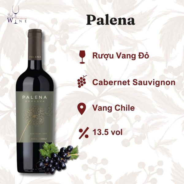Rượu vang Palena Reserva