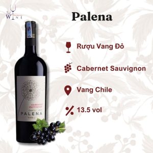 Rượu vang Palena Cabernet Sauvignon