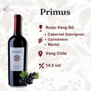 Rượu vang Primus Blend