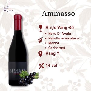 Rượu vang Ammasso