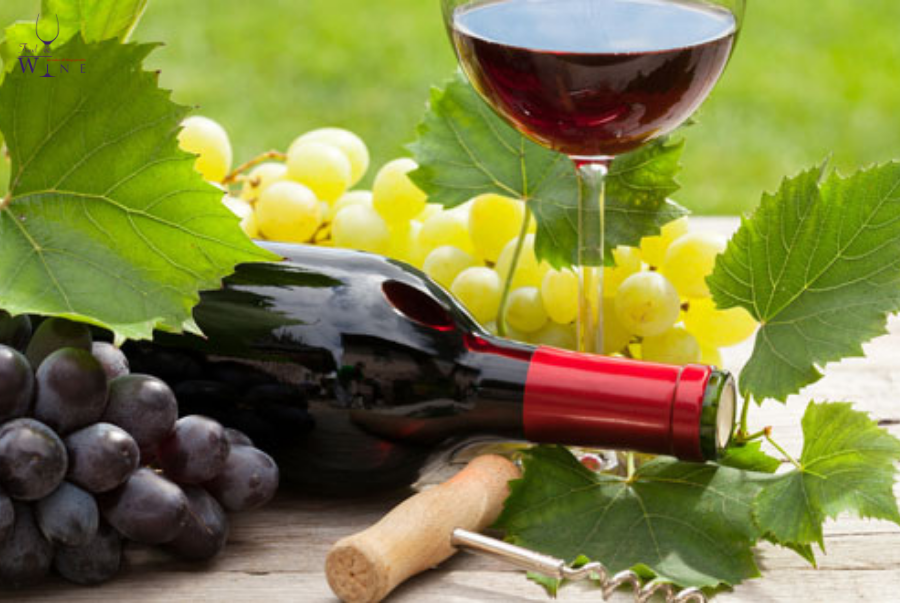 Giá rượu vang Pháp nhập khẩu