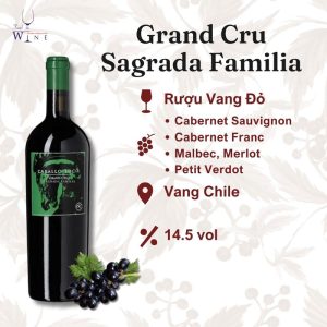 Rượu vang Caballo Loco Sagrada Familia