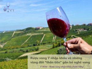 rượu vang Ý nhập khẩu