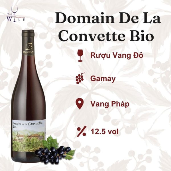 Rượu vang Domain De La Convette