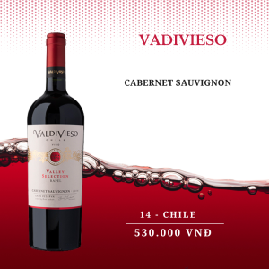 Rượu vang Vadivieso Valley Selection
