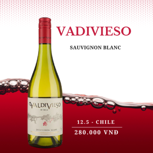 Rượu vang Vadivieso sauvignon blanc