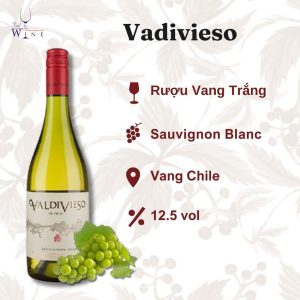 Rượu vang Vadivieso sauvignon blanc